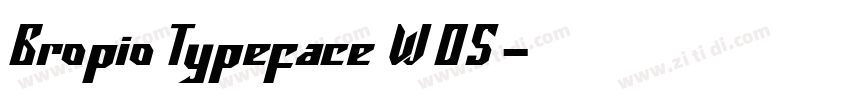 Gropio Typeface W05字体转换
